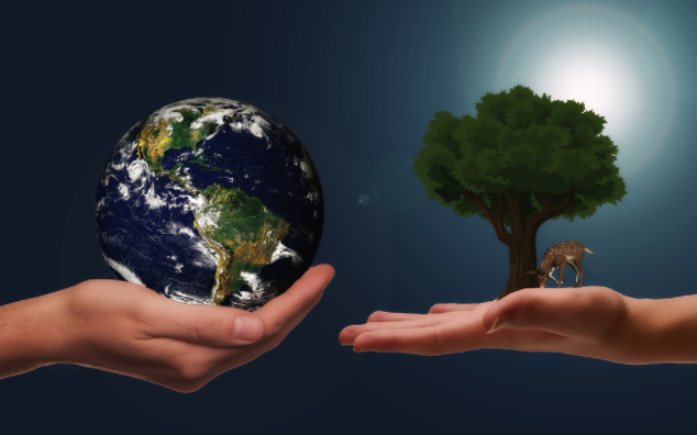Critical Ways to Live a Sustainable and Healthy Lifestyle