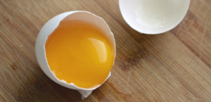 egg yolk
