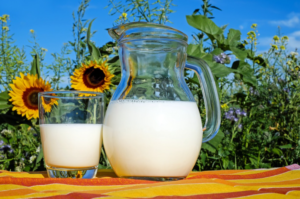 low fat milk